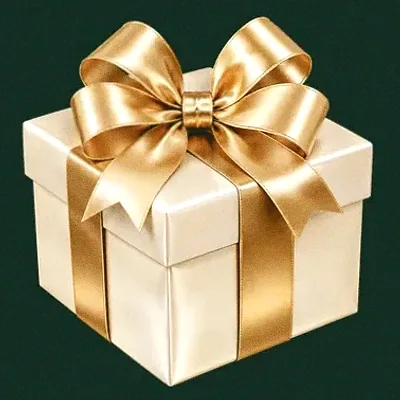 Ribboned gift box — Voltrush