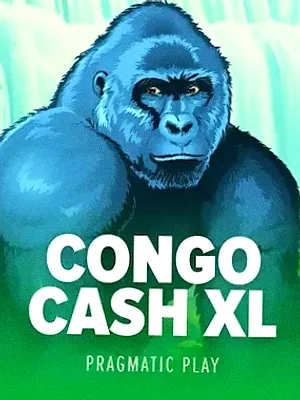 Congo Cash XL at Voltrush